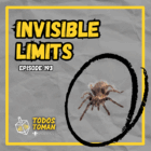 Invisible Limits - Episode 193 - Todos Toman Podcast